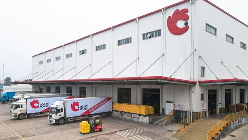 走進(jìn)洽洽透明工廠,探訪一顆堅果蘊藏的新質(zhì)生產(chǎn)力